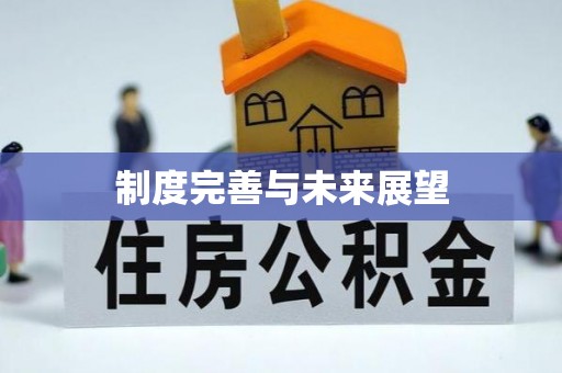 铜仁制度完善与未来展望