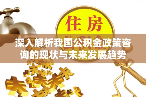 铜仁深入解析我国公积金政策咨询的现状与未来发展趋势