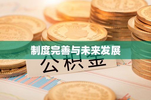 铜仁制度完善与未来发展