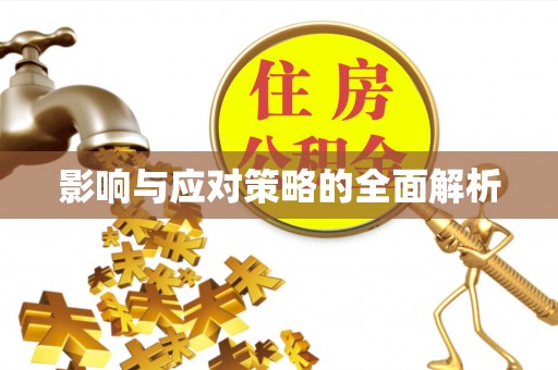 铜仁影响与应对策略的全面解析