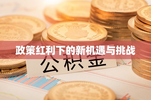 铜仁政策红利下的新机遇与挑战