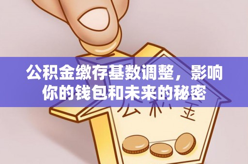 铜仁公积金缴存基数调整，影响你的钱包和未来的秘密