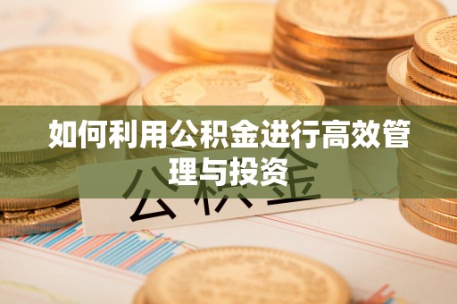 铜仁如何利用公积金进行高效管理与投资