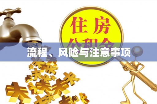 铜仁流程、风险与注意事项